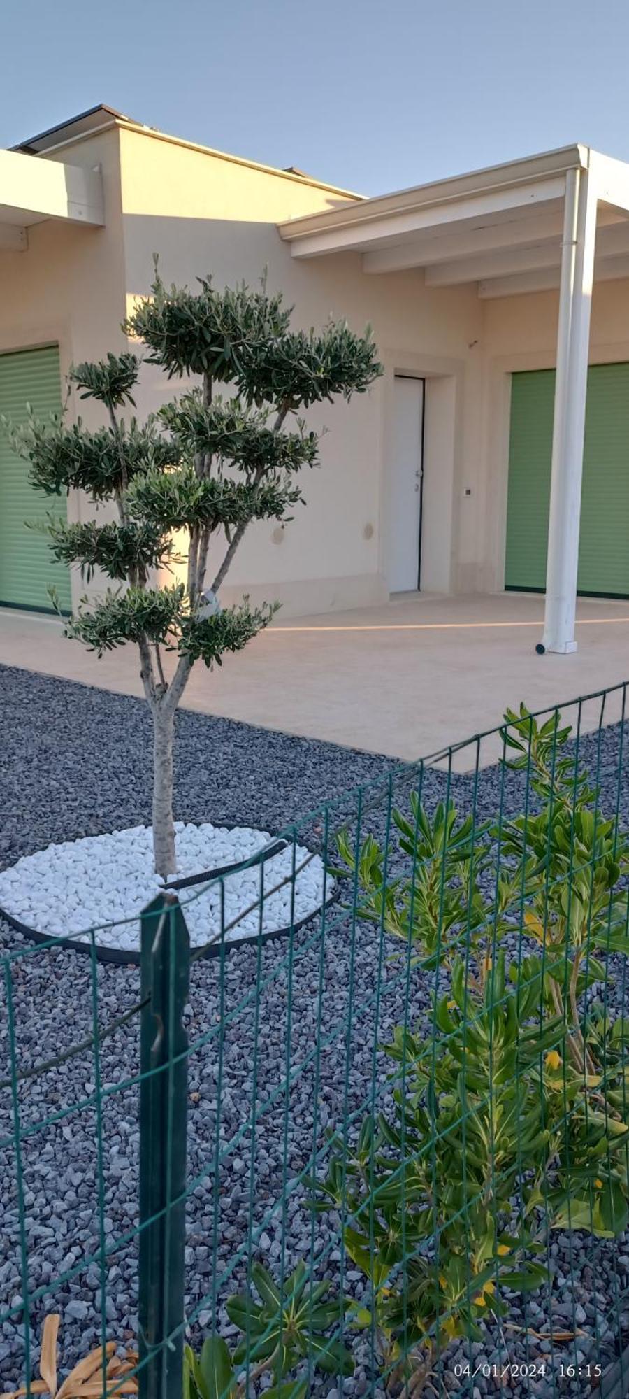 Casa Vacanze Pantakyas Brucoli Esterno foto